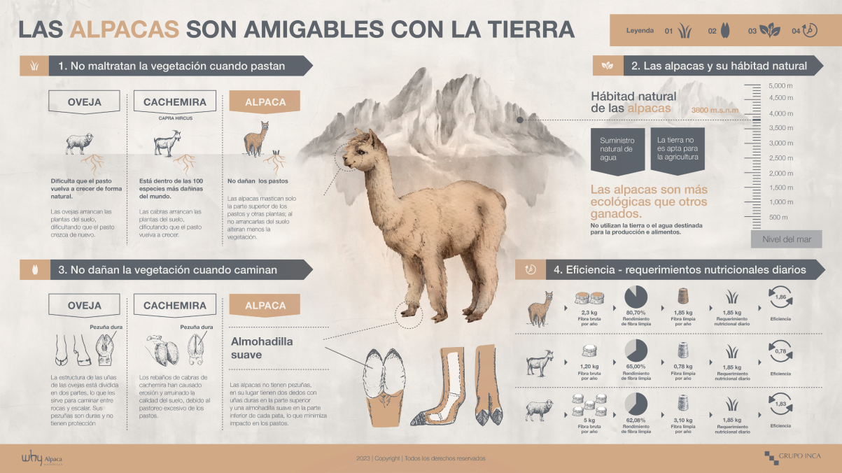 5 datos sobre las alpacas y su lana - Alpaca Loca